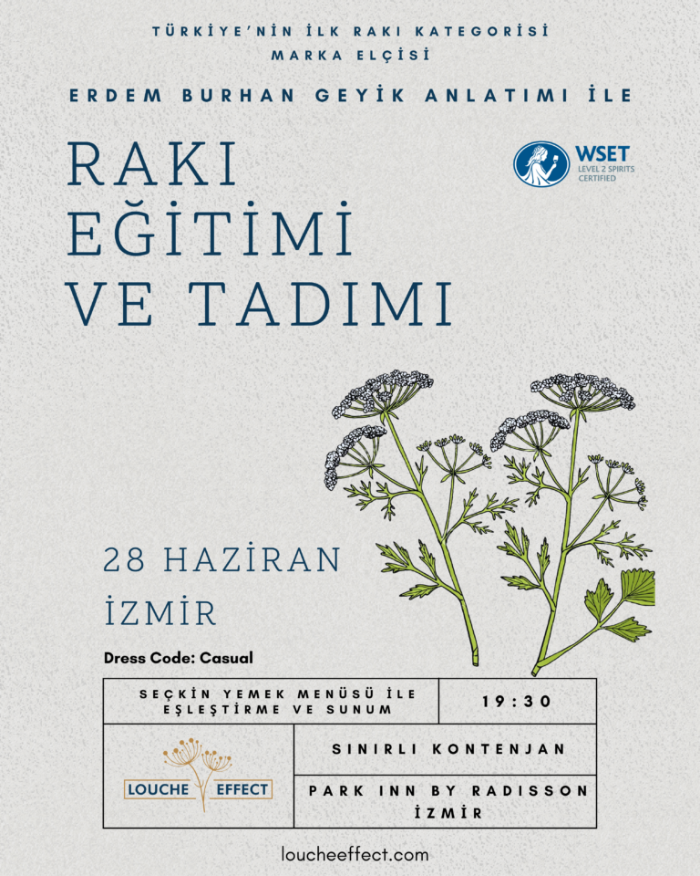 radisson izmir son 28 haziran